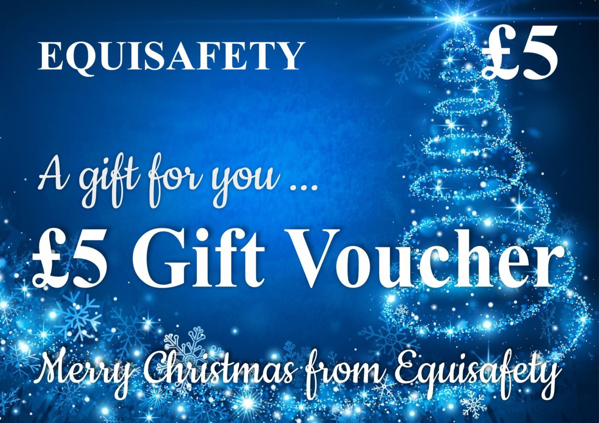 Christmas Gift Vouchers - Equisafety