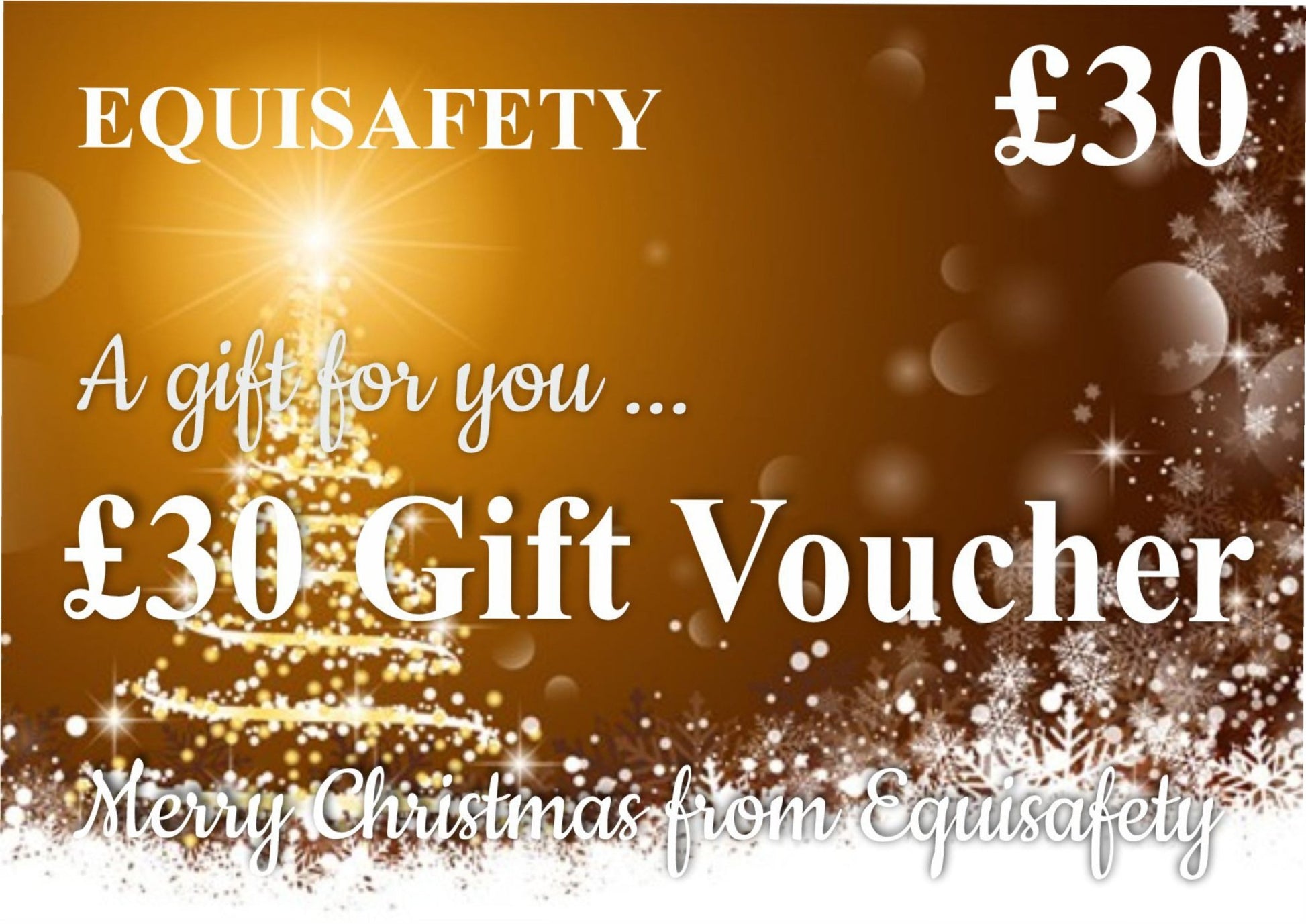 Christmas Gift Vouchers - Equisafety