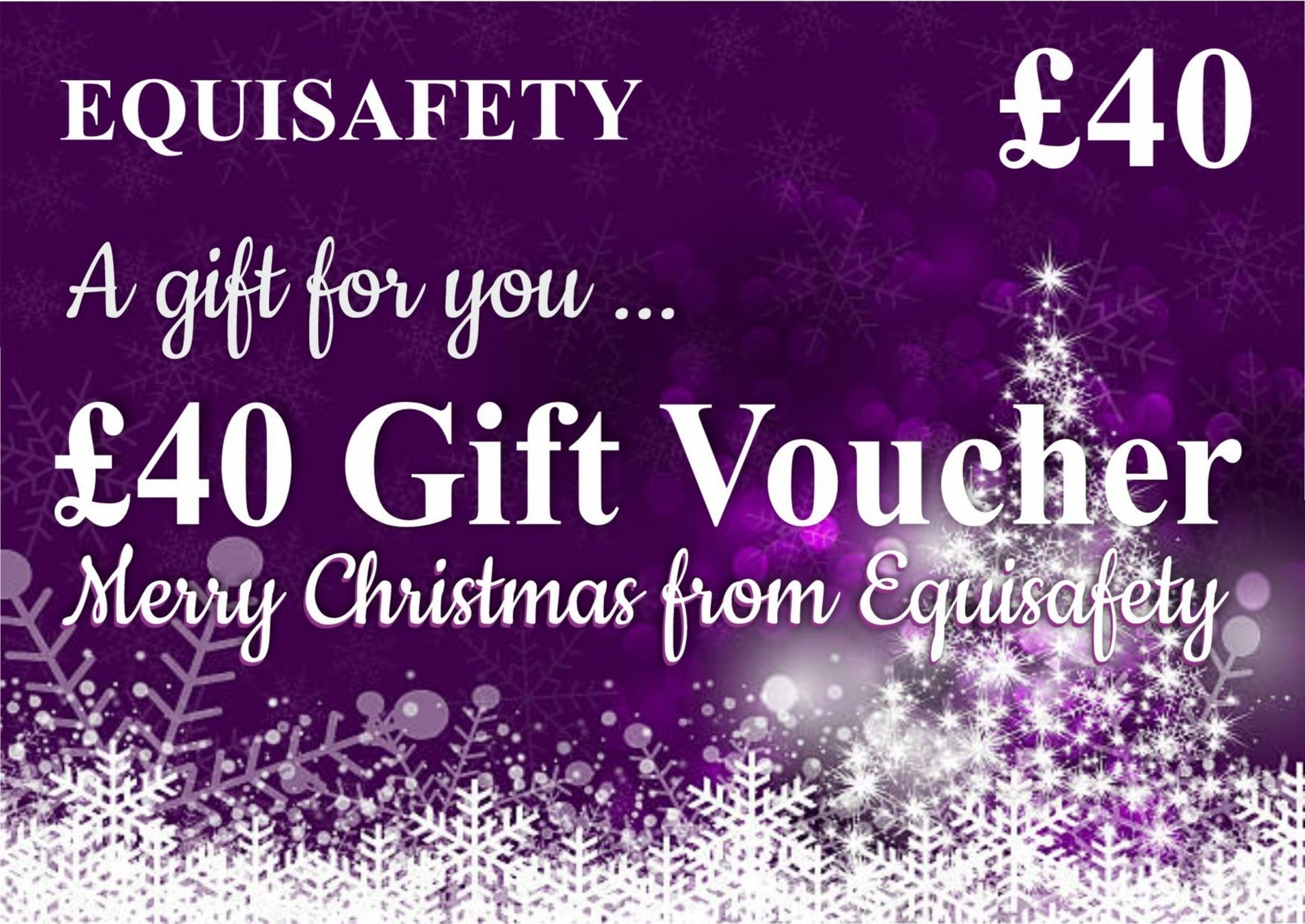 Christmas Gift Vouchers - Equisafety