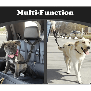 Equisafety dog seat belt