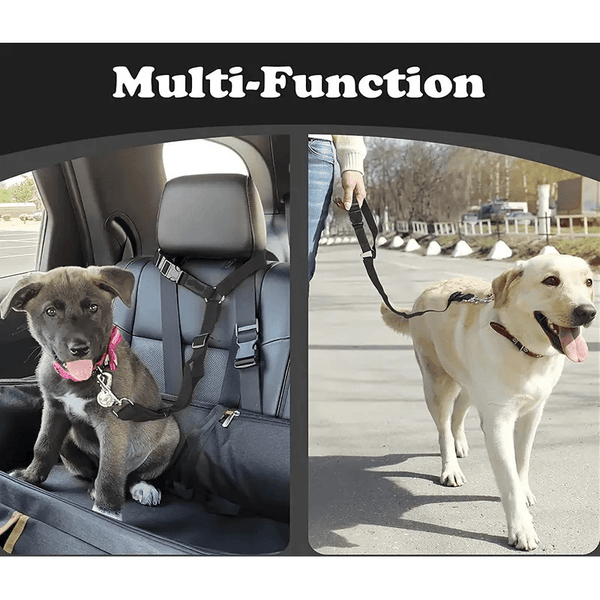 Equisafety dog seat belt