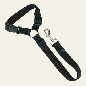 Equisafety dog seat belt