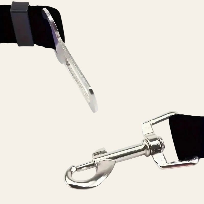 Dog Seat Belt - Equisafety
