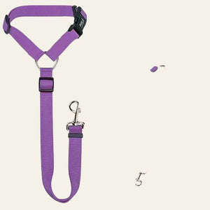 Equisafety dog seat belt