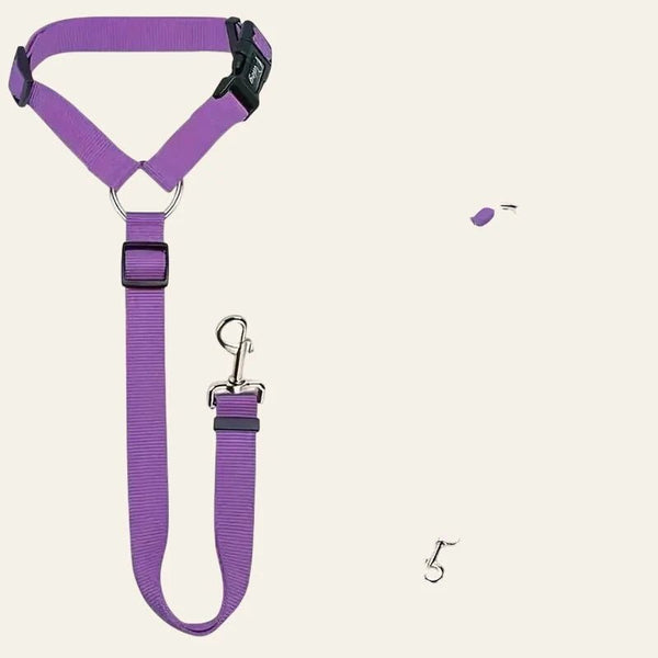 Equisafety dog seat belt
