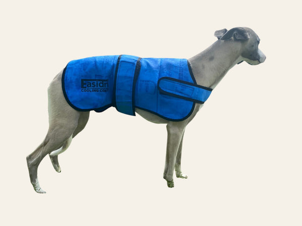 EASIDRI COOLING COAT - Equisafety