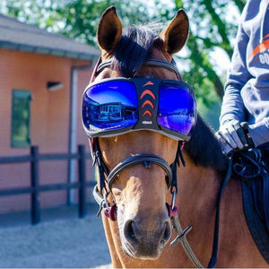 eQuick eVysor Horse Mask - Horse Comfort - Transparent - Equisafety