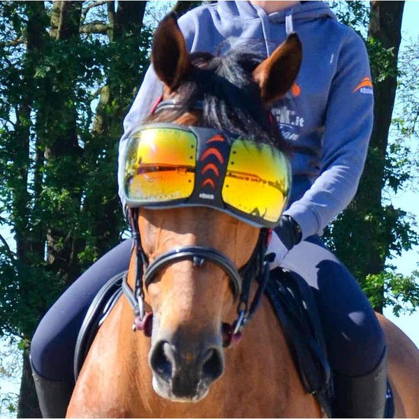 eQuick eVysor Horse Mask - Horse Comfort - Transparent - Equisafety