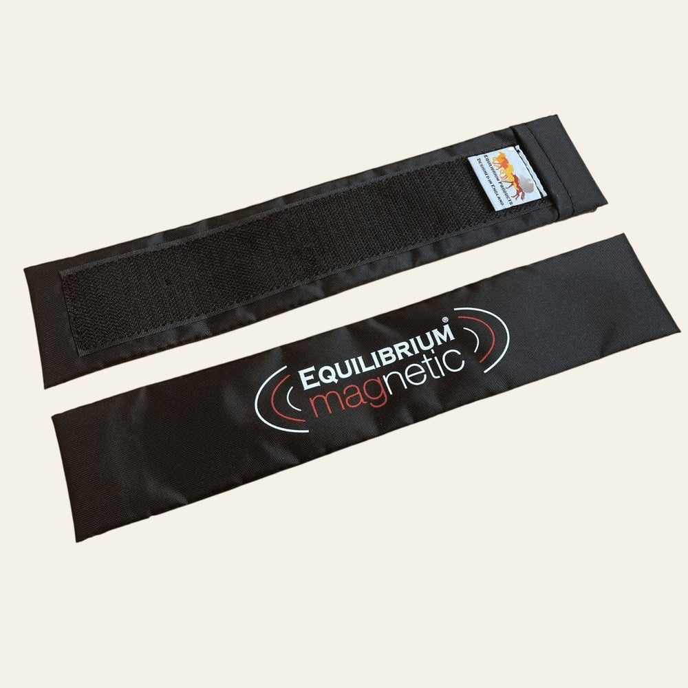 Equilibrium Spare Magnets - 2 x Long - Equisafety