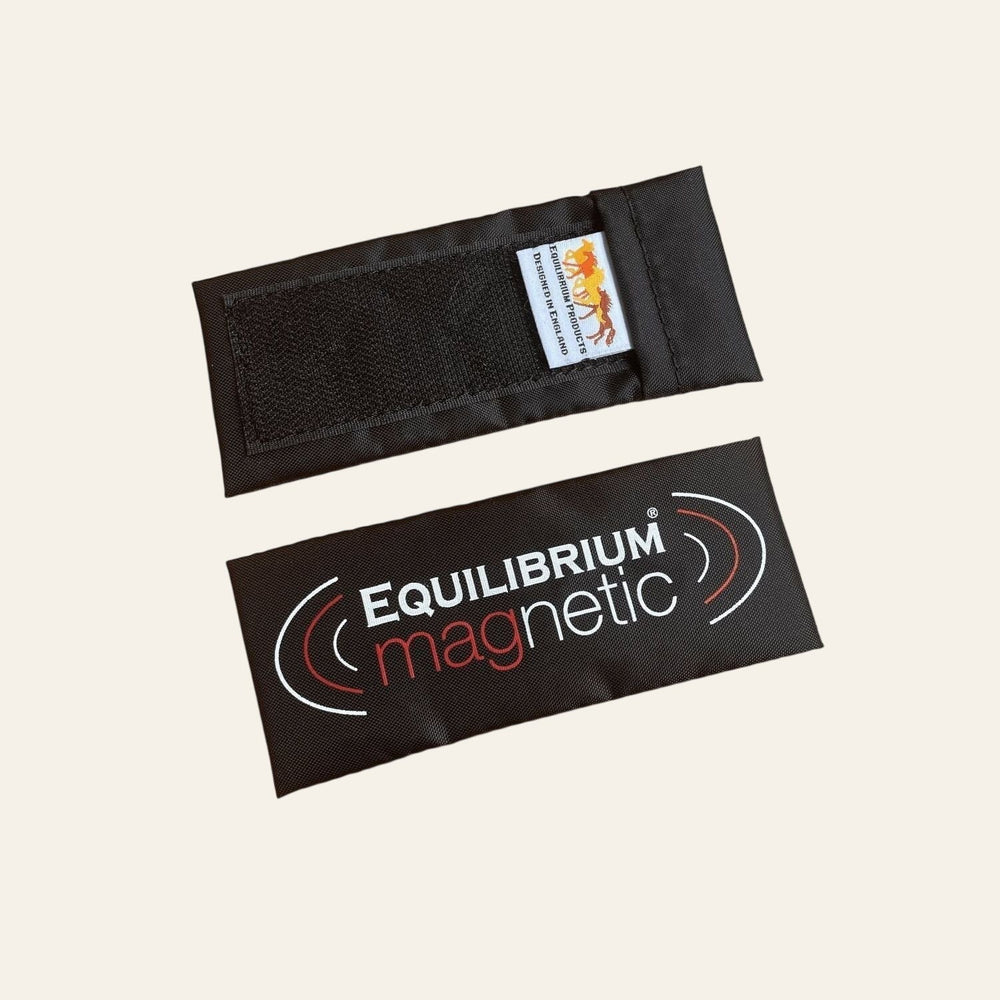 Equilibrium Spare Magnets - 2 x Long - Equisafety