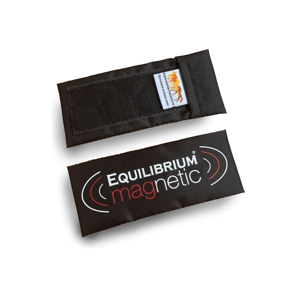 Equilibrium Spare Magnets - 4 x Short - Equisafety