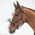 Equilibrium Stellar Safety Headcollar Brown - Equisafety