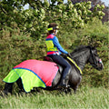 Equisafety Hi Viz Reflective Horse Summer Sheet Orange - Equisafety