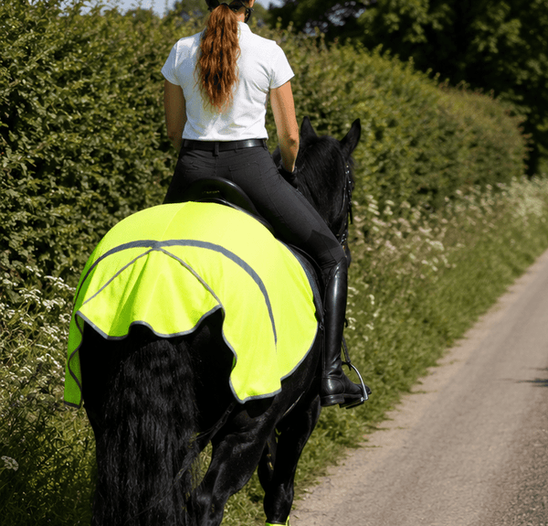 Equisafety Hi Viz Reflective Horse Summer Sheet- Yellow - Equisafety