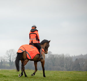 equisafety hi viz riding gilet pinkyellow