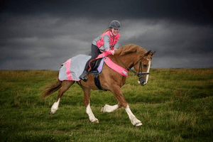 equisafety hi viz riding gilet pinkyellow