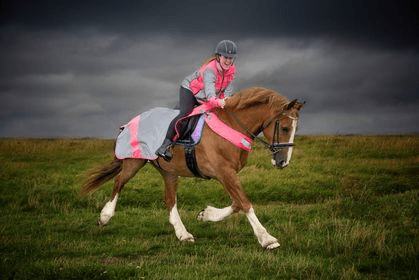 equisafety hi viz riding gilet pinkyellow
