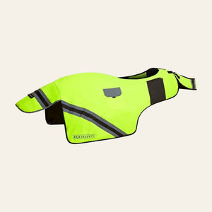 equisafety hi viz riding gilet pinkyellow