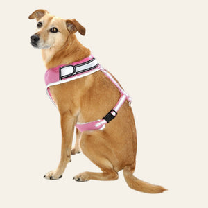 equisafety hi viz riding gilet pinkyellow