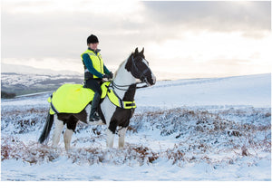 Equisafety hi viz riding gilet pink yellow