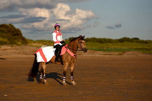 equisafety hi viz riding gilet pinkyellow
