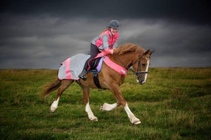 equisafety hi viz riding gilet pinkyellow