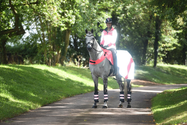 Equisafety hi viz riding gilet pink yellow