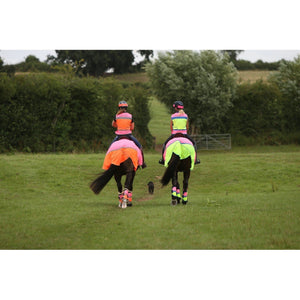 equisafety hi viz riding gilet pinkyellow