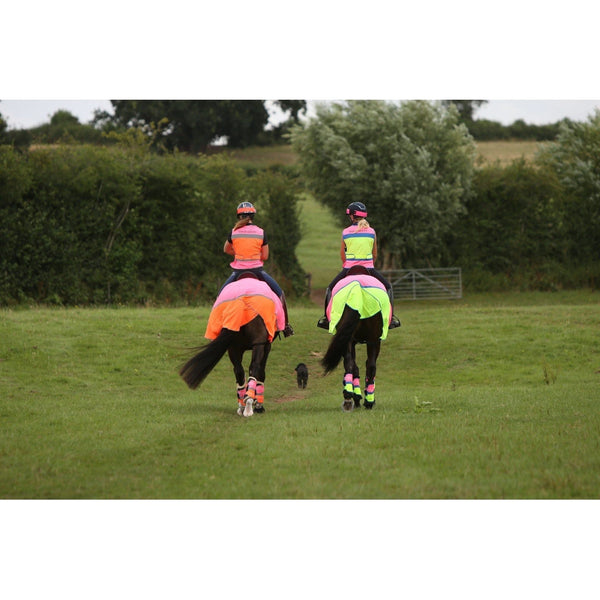 equisafety hi viz riding gilet pinkyellow
