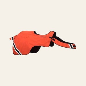equisafety hi viz riding gilet pinkyellow