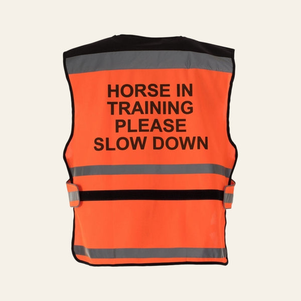 equisafety hi viz riding gilet pinkyellow
