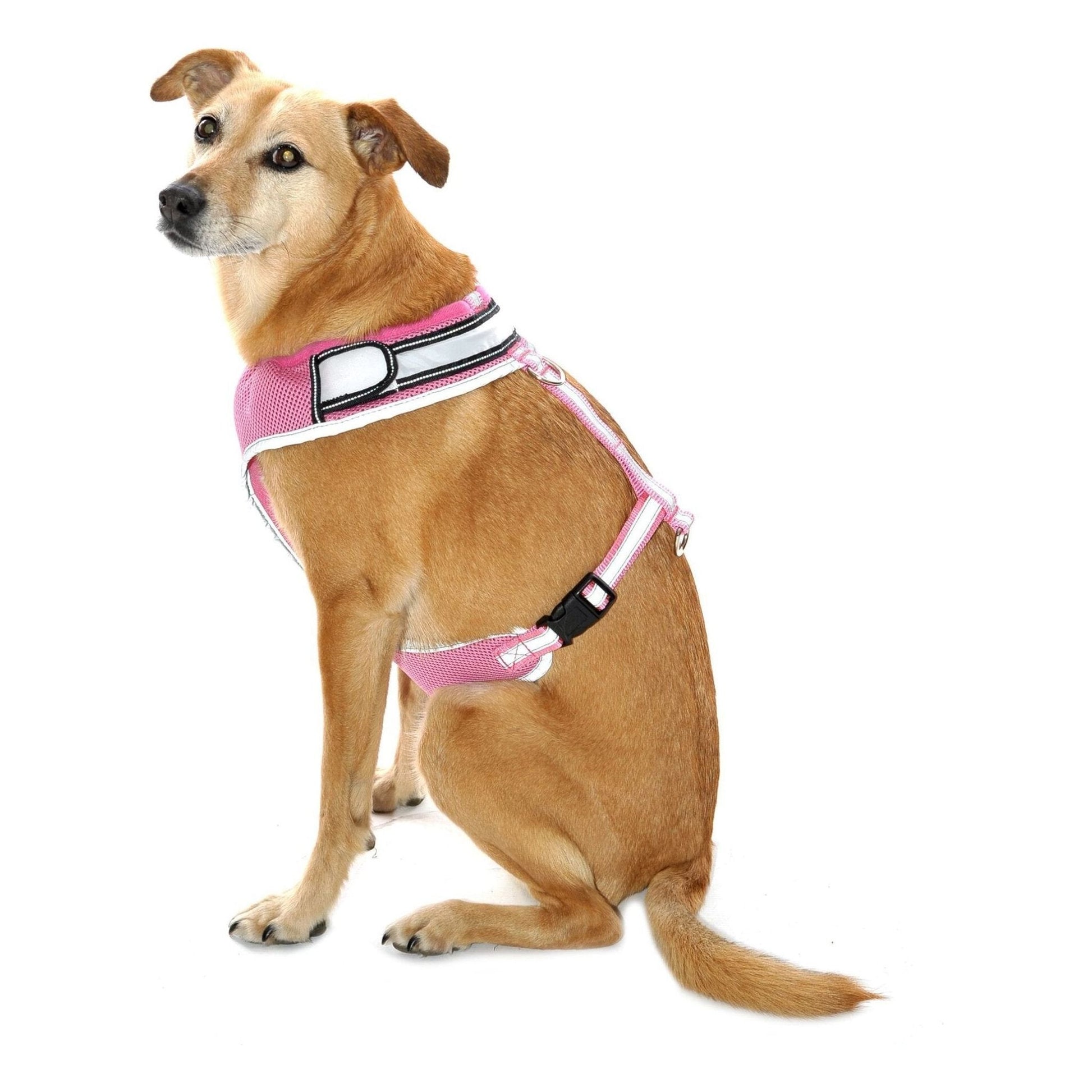 Equisafety LED Flashing Hi Vis Reflective Dog Harness - Equisafety