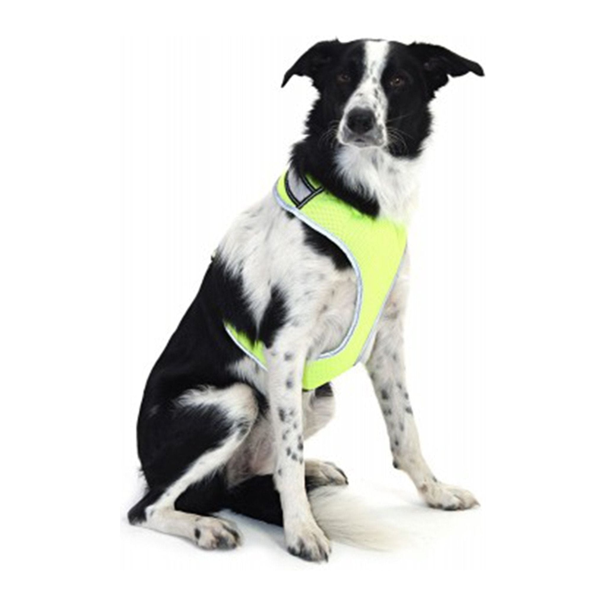 Equisafety LED Hi Vis Reflective Dog Harness Small - Yellow - Equisafety