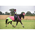 Equisafety Multi Coloured Hi Vis Horse Summer Sheet - P/Y - Equisafety