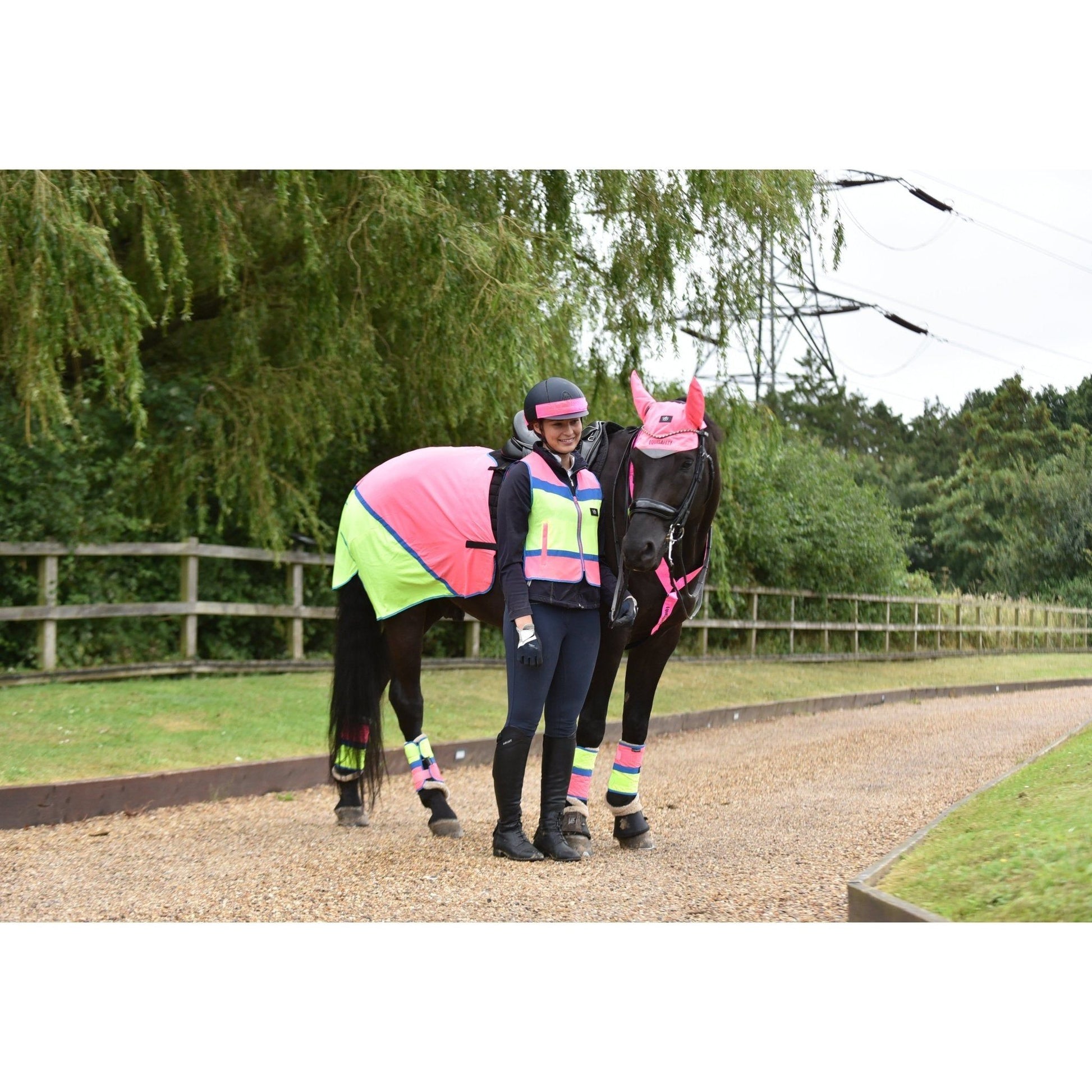 Equisafety Multi Coloured Hi Vis Horse Summer Sheet - P/Y - Equisafety