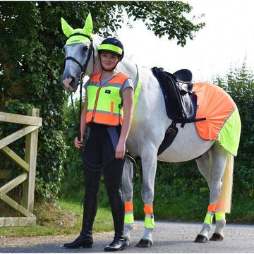 Equisafety Multi Coloured Hi Vis Horse Summer Sheet - Y/O - Equisafety