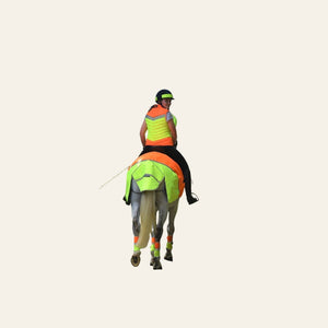 Equisafety Multi Coloured Hi Vis Leg Boots - Equisafety