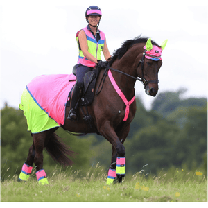 equisafety multi coloured mesh fly sheet pinkorange
