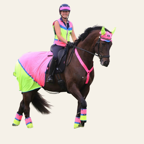 Equisafety Multi Coloured Mesh Fly Sheet. Pink/Yellow - Equisafety
