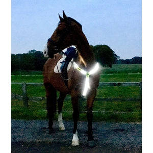 Equisafety multi coloured hi vis neck band pink orange