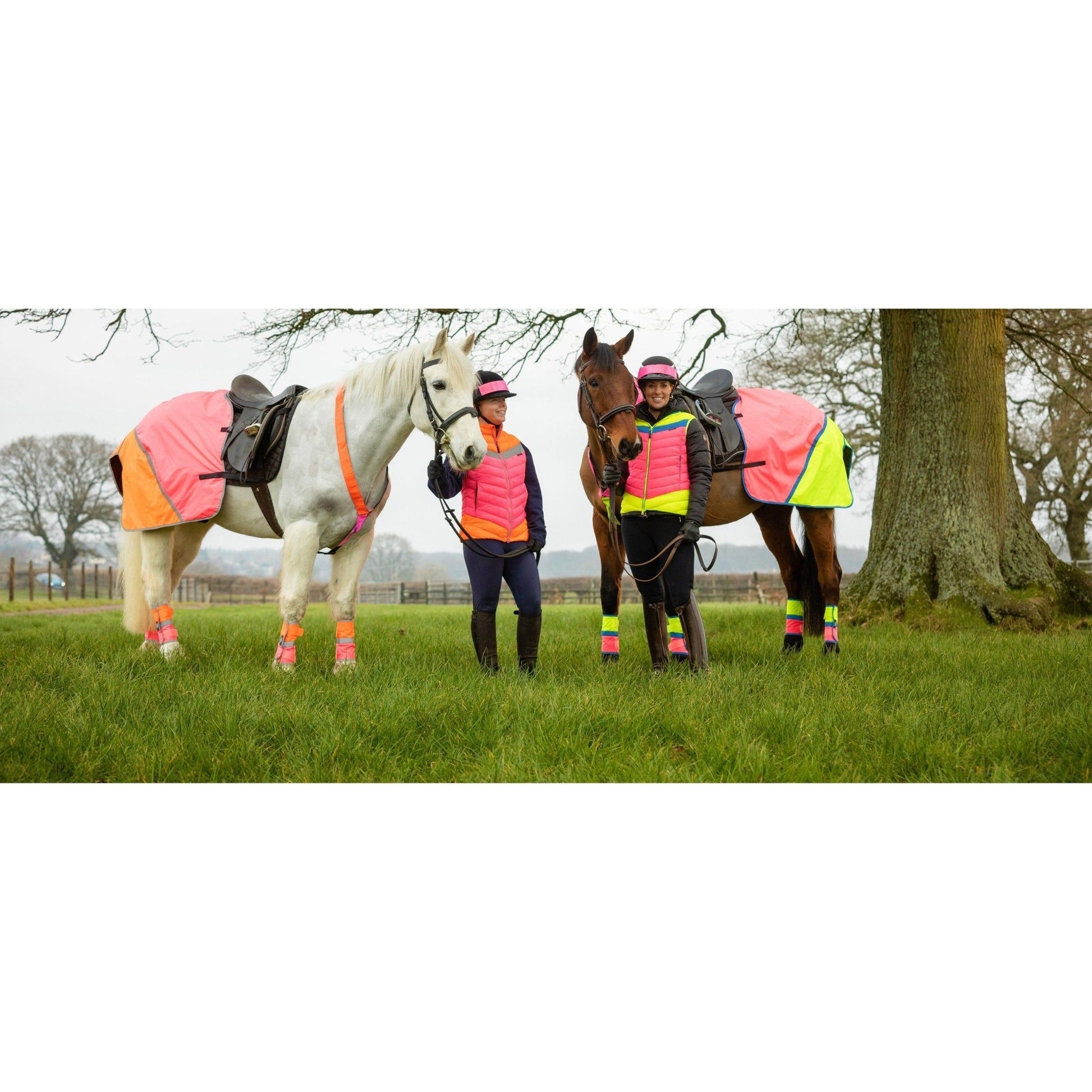 Equisafety Multi Coloured Waterproof Hi Viz Horse Sheet - Pink/Orange - Equisafety