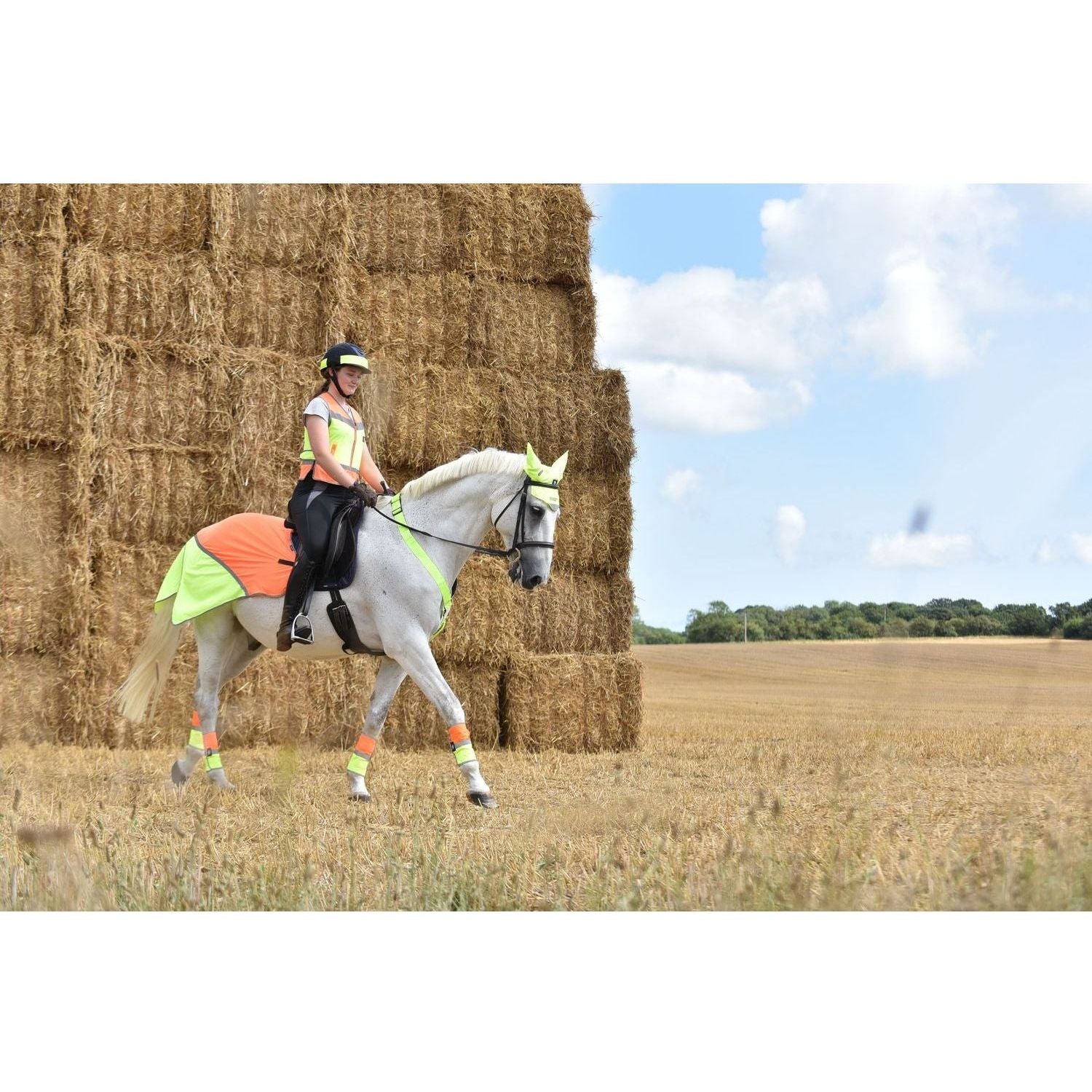 Equisafety Multi Coloured Waterproof Hi Viz Horse Sheet - Pink/Orange - Equisafety