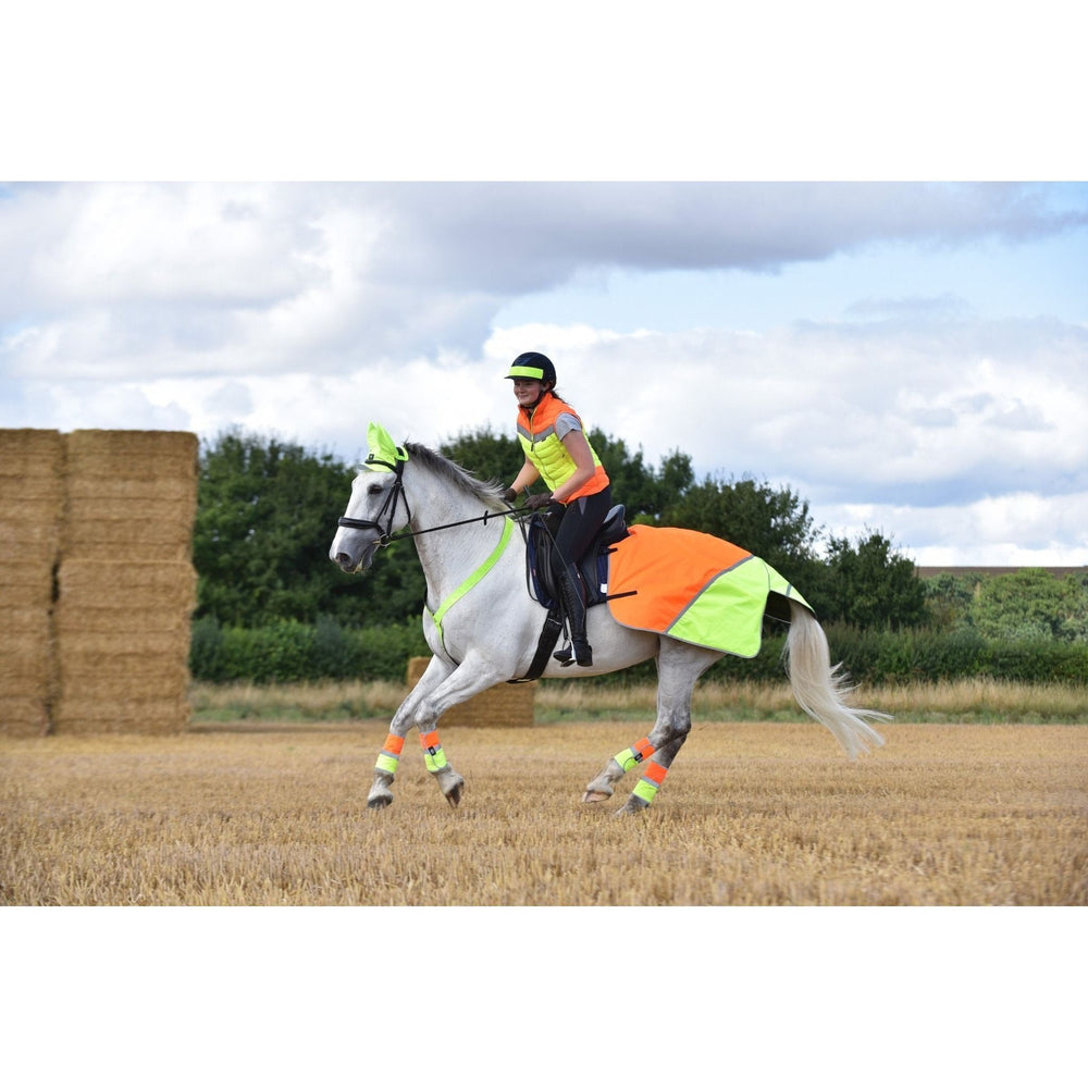 Equisafety Multi Coloured Waterproof Hi Viz Horse Sheet - Yellow / Orange - Equisafety
