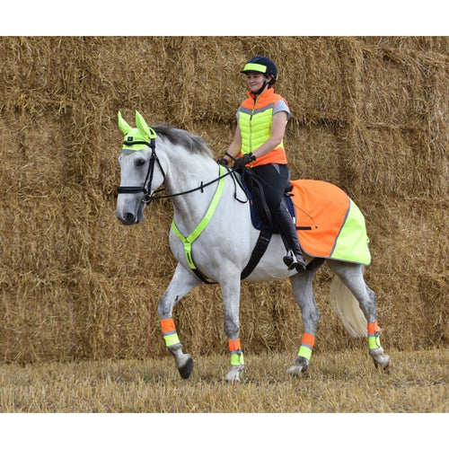 Equisafety Multi Coloured Waterproof Hi Viz Horse Sheet - Yellow / Orange - Equisafety