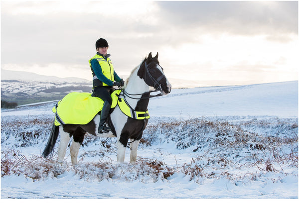 Equisafety NEW Horse Exercise Sheet Wraparound Rug - Yellow - Equisafety