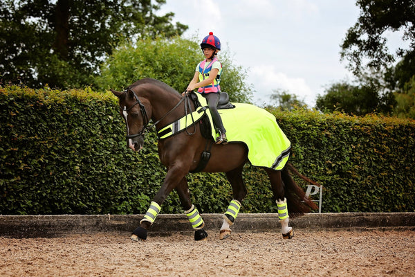 Equisafety NEW Horse Exercise Sheet Wraparound Rug - Yellow - Equisafety