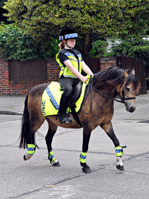 Equisafety POLITE Horse Waistcoat - Please Slow Down - Equisafety