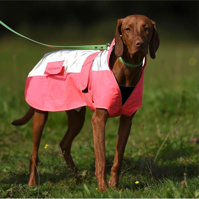 Equisafety Reflective Mercury Dog Rug - Pink - Equisafety