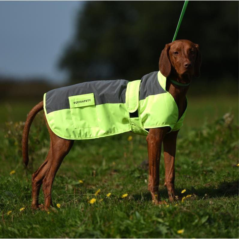 Equisafety Reflective Mercury Dog Rug - Yellow - Equisafety