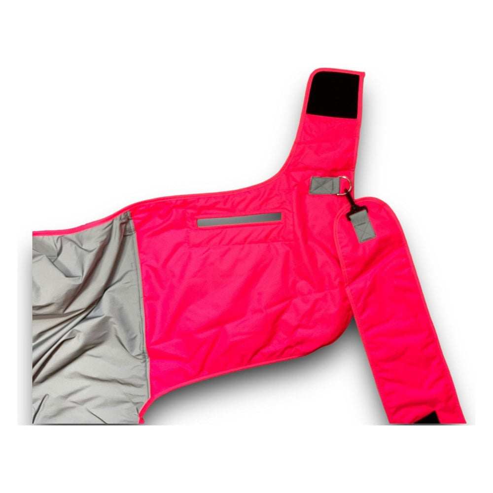 Equisafety Reflective Mercury Horse Hi Viz Exercise Rug in Pink - Equisafety